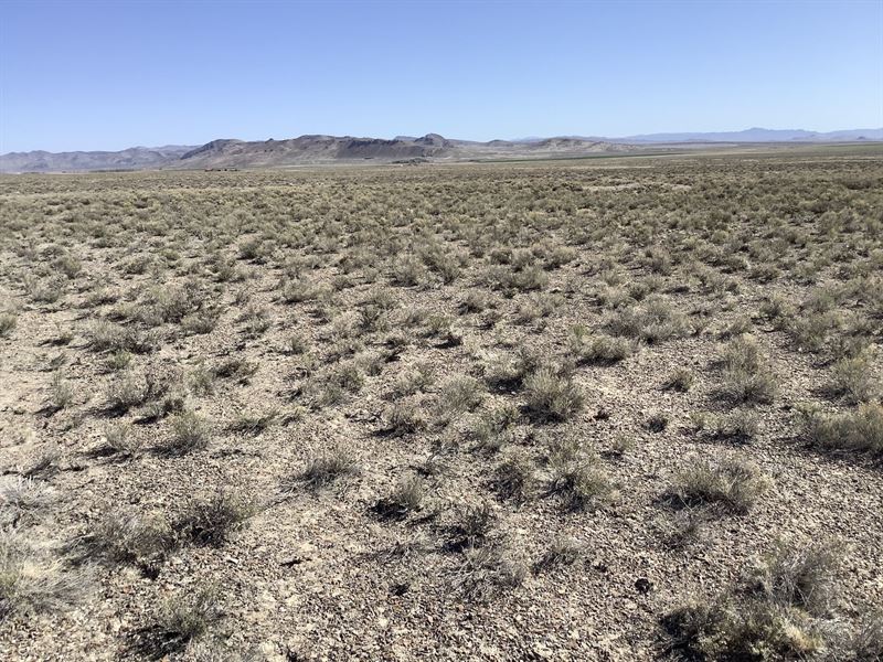 Wilkens-Montello Road Homesite : Montello : Elko County : Nevada