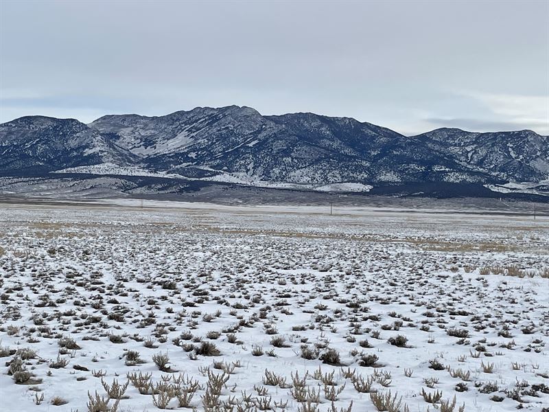 Surprise The Family with This 10 Ac : Montello : Elko County : Nevada