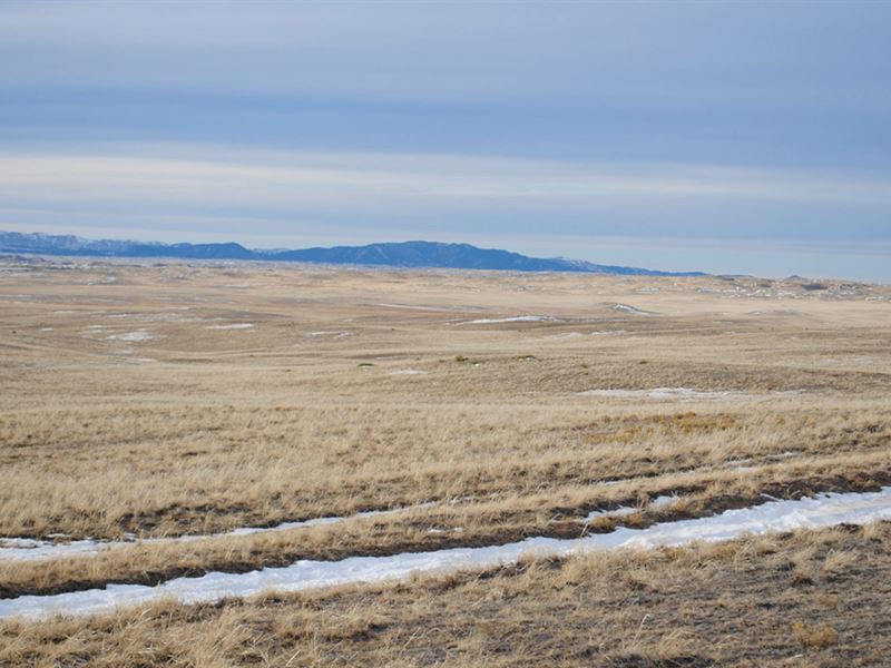 Jay Em Grass Pasture, Ranch for Sale in Wyoming, #301411 : RANCHFLIP