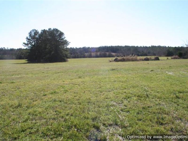 68 Ac Pasture Land in Jasper County : Rose Hill : Jasper County : Mississippi