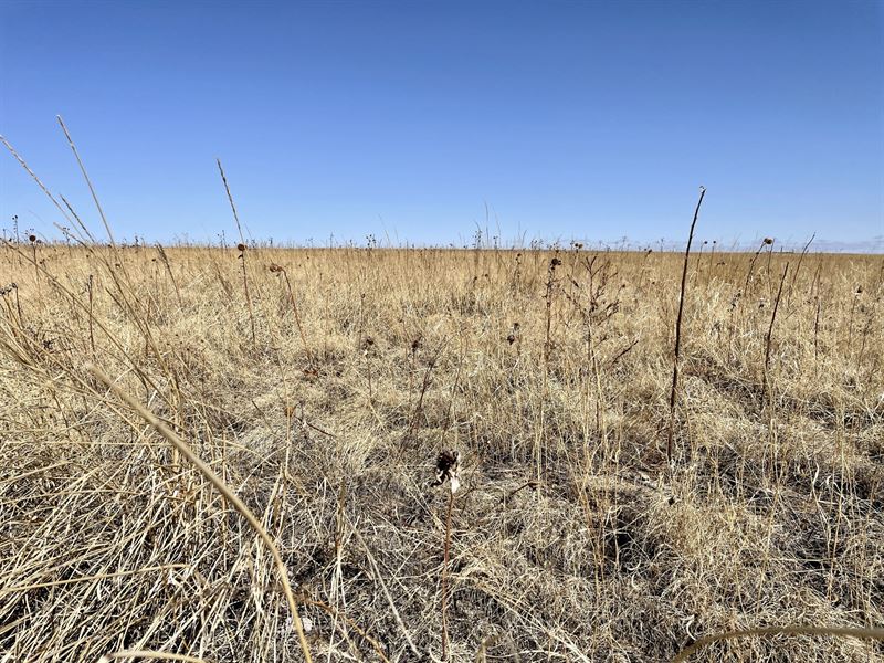 McAden SE Quarter : Ramah : Elbert County : Colorado