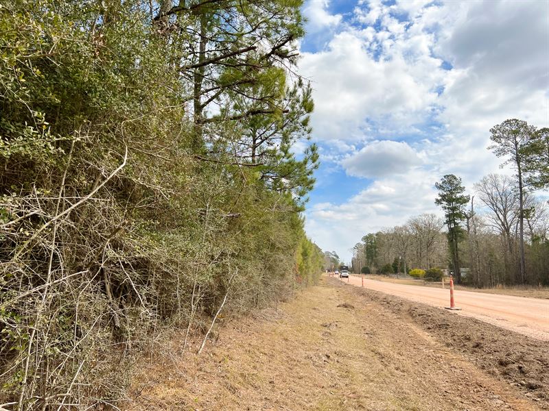 21 Acres, T-1 FM 1746 : Town Bluff : Tyler County : Texas