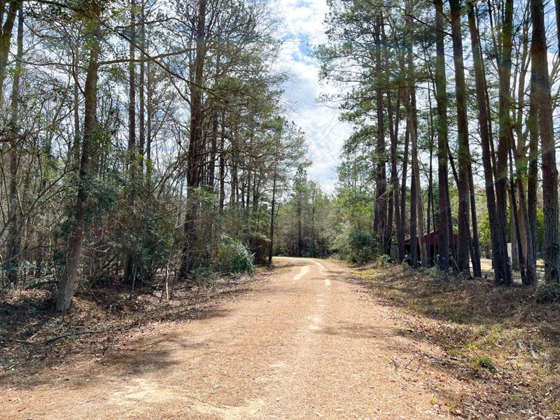 21 Acres, T-5 FM 1746 : Town Bluff : Tyler County : Texas