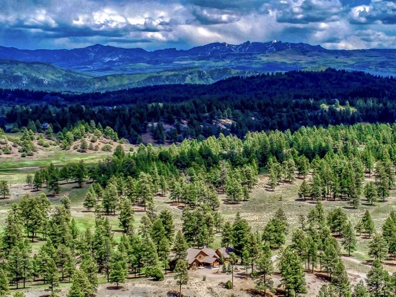 Ponderosa Paradise Ranch : Pagosa Springs : Archuleta County : Colorado