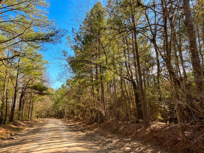 27 Acres, Paces Creek T3077-13 : Corrigan : Polk County : Texas