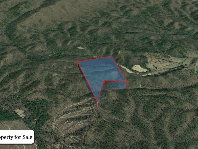 48.38 Acre Lot in Bland County, VA : Bland : Bland County : Virginia