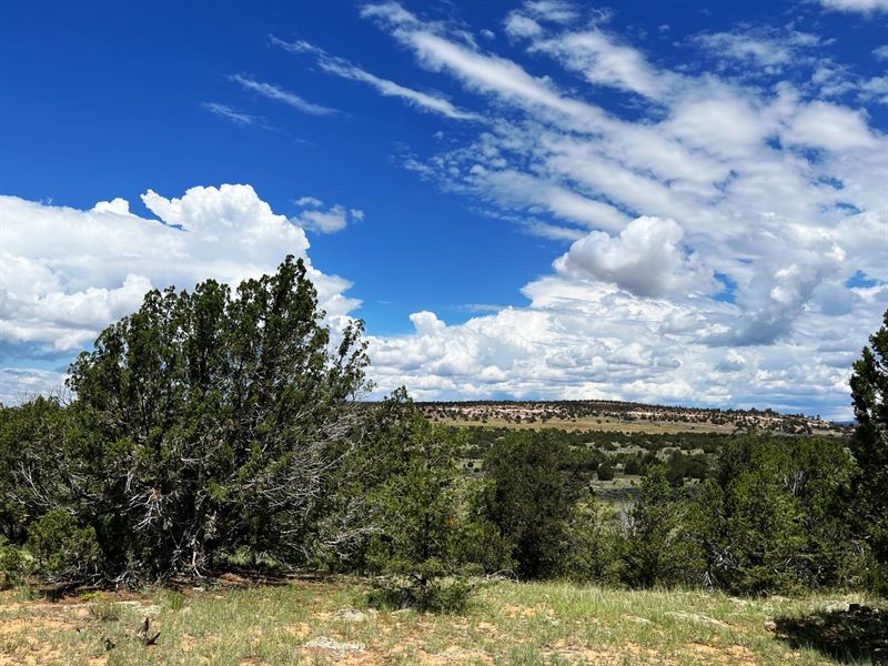 640 Acres in Ramah, New Mexico, Ranch for Sale in New Mexico, #318226 ...