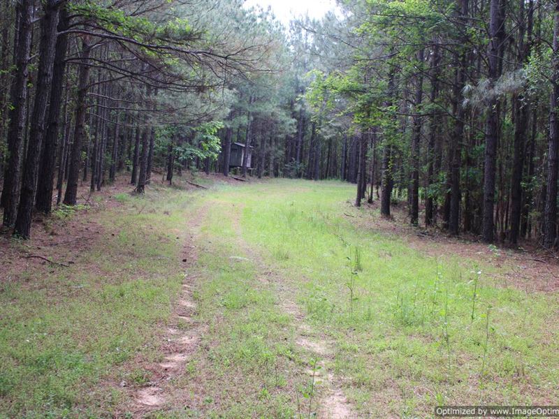 361 Ac Timber Tract, Attala County : McCool : Attala County : Mississippi