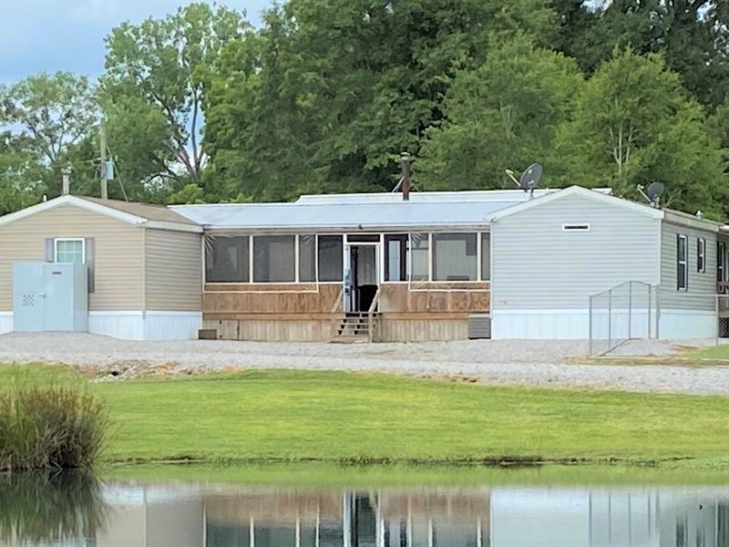 Surf & Turf : Letohatchee : Lowndes County : Alabama