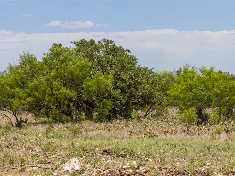 Heritage, Lot 37 with Electricity : Brady : McCulloch County : Texas