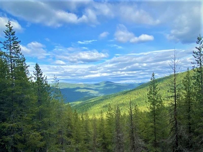 Jeru Creek Overlook : Sandpoint : Boundary County : Idaho