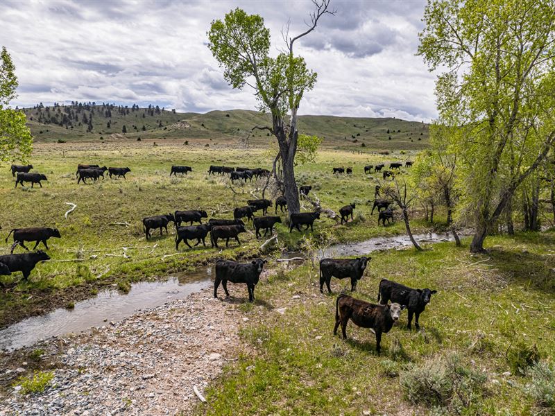 Coyote Creek Ranch : Glendo : Platte County : Wyoming