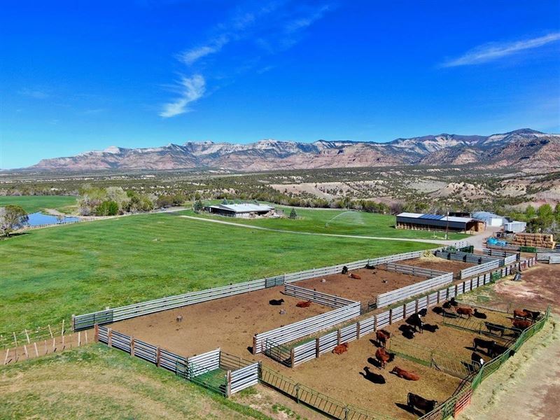 Colorado Cattle Ranch With Grazing Ranch For Sale In Colorado 324665 Ranchflip