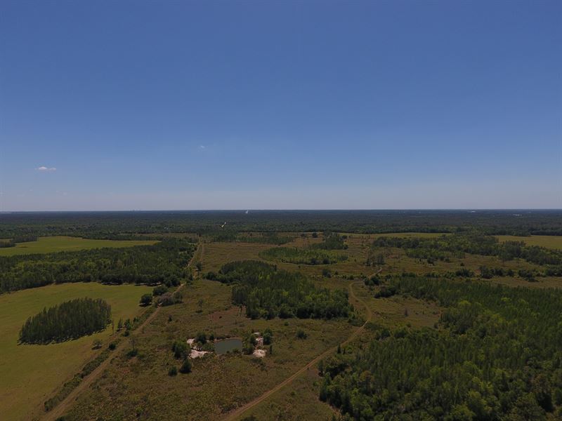 Jeh Ranch, 2864 Acres : Lakeland : Polk County : Florida