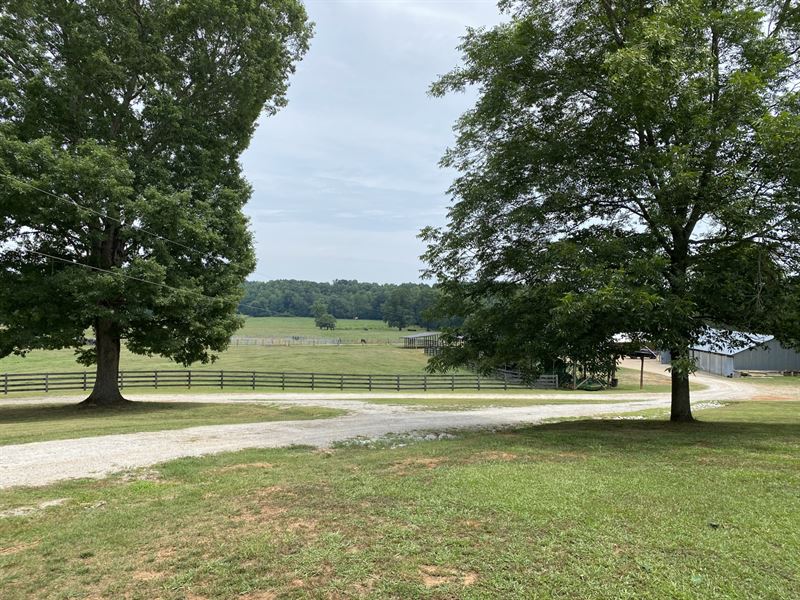 Reduced, Working Cattle Ranch : Lineville : Clay County : Alabama