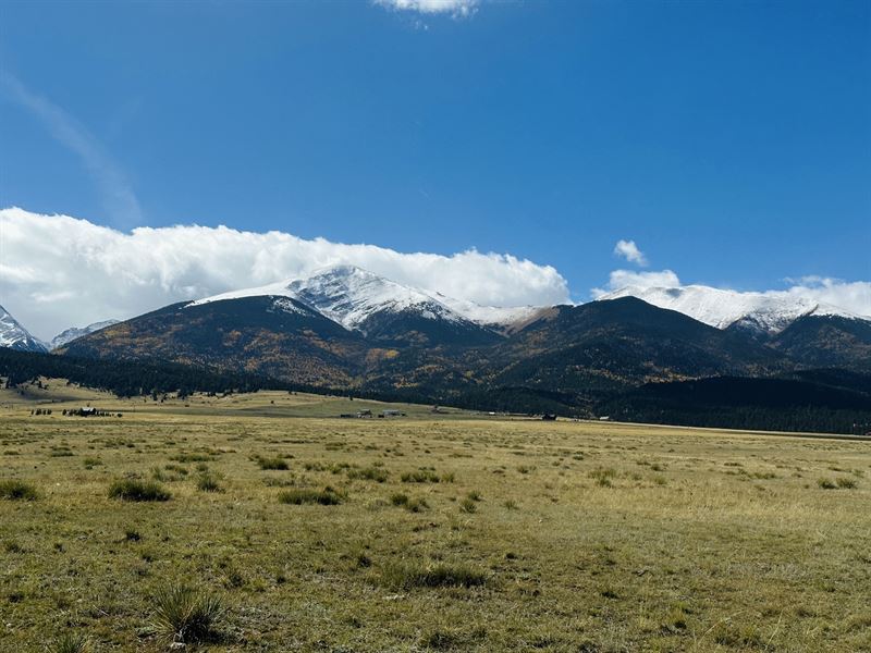 Antelope Run : Westcliffe : Custer County : Colorado