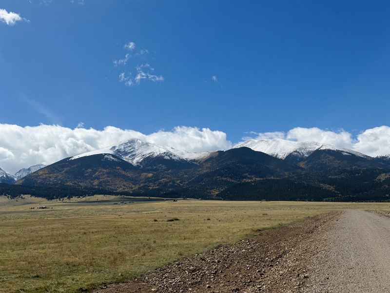 Johns Junction : Westcliffe : Custer County : Colorado