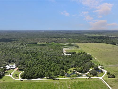 Florida Ranches for Sale : RANCHFLIP