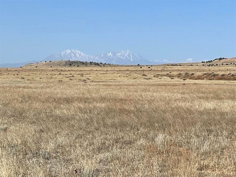 Lot 226 Turkey Ridge Ranch, Walsenb : Walsenburg : Huerfano County : Colorado