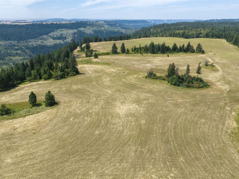 Rocking J Ranch, Parcel 16 : Weippe : Clearwater County : Idaho