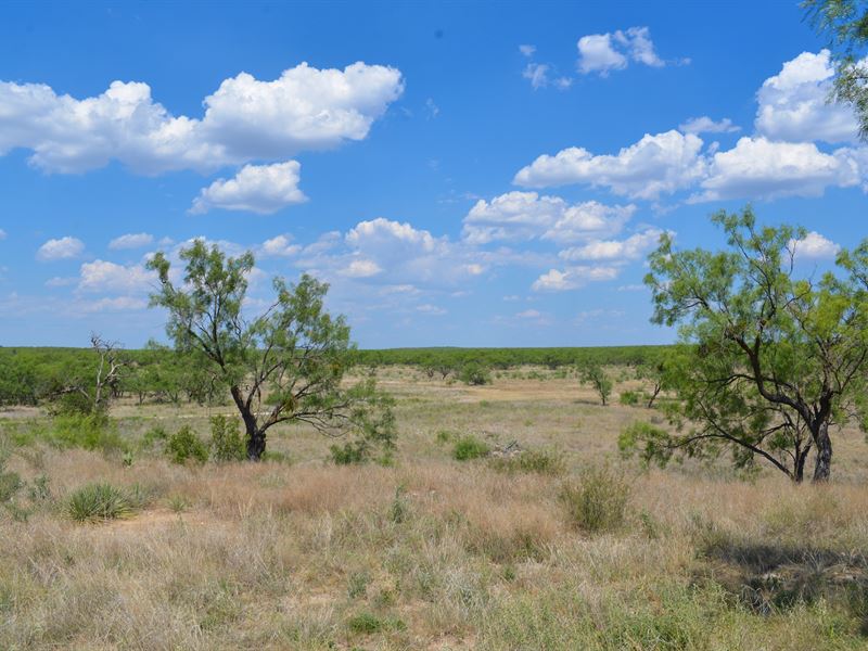 Grape Creek Ranch : Ballinger : Coleman County : Texas