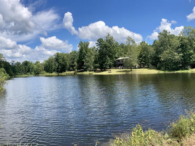 Beautiful Farm with Stocked Pond : Lizella : Bibb County : Georgia