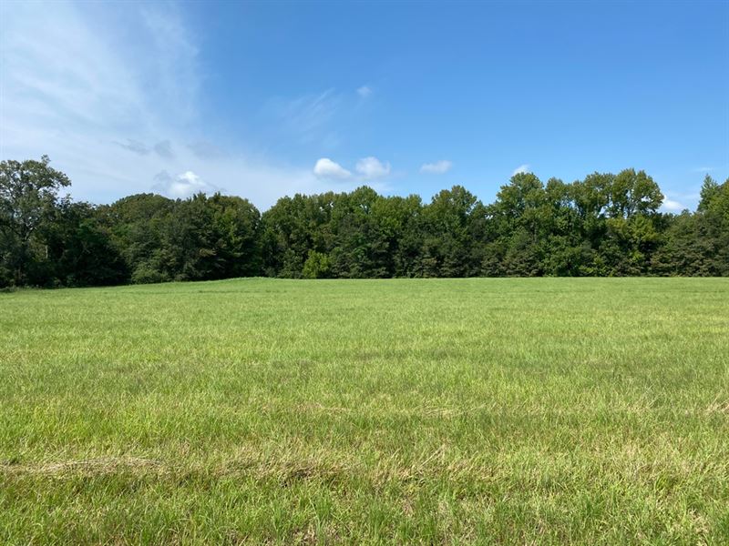 La, Franklin 36.80 Acres : Winnsboro : Franklin Parish : Louisiana