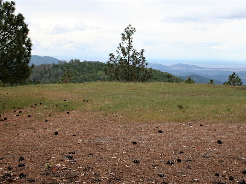 Valley Vista Ranch : Greeley Hill : Mariposa County : California