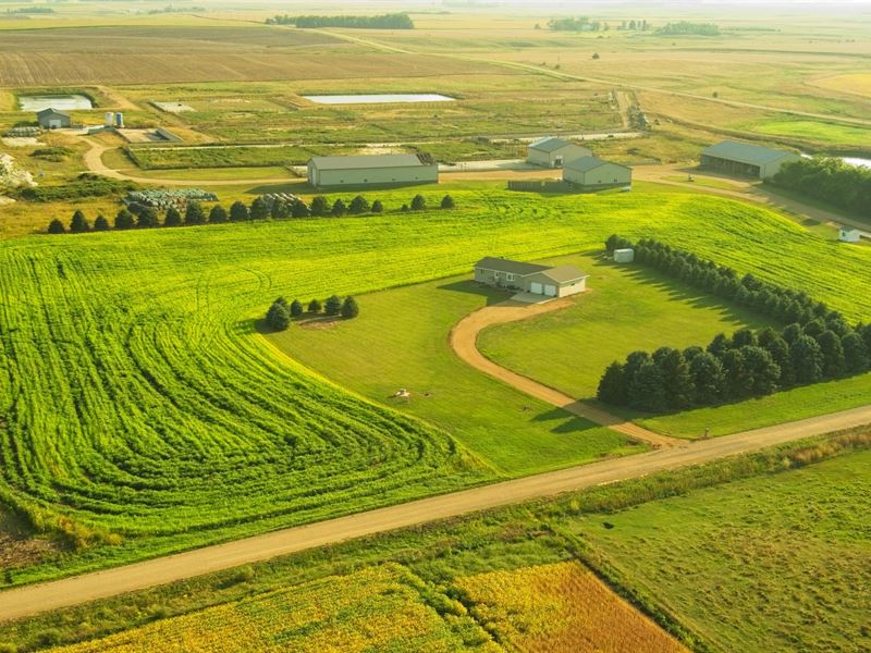 Sibex Feedlot : Elkton : Moody County : South Dakota