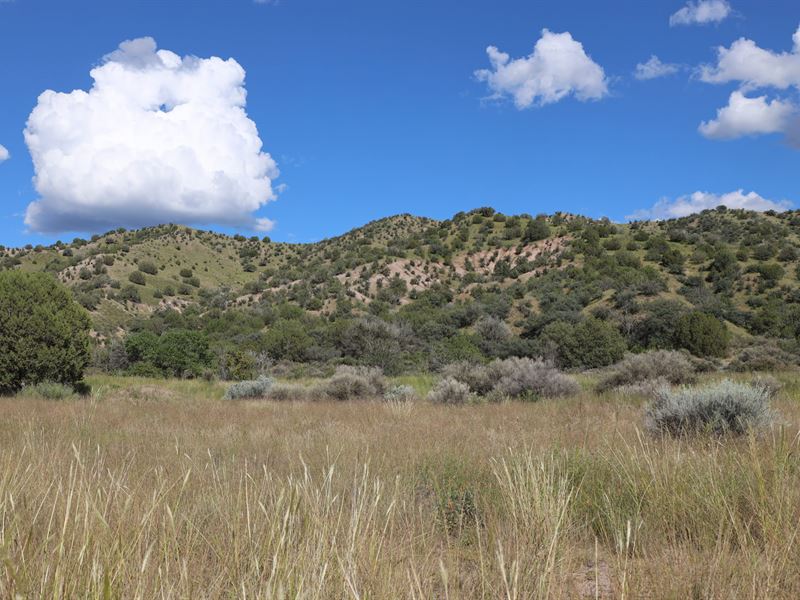 Noonday Canyon Ranch : San Lorenzo : Grant County : New Mexico