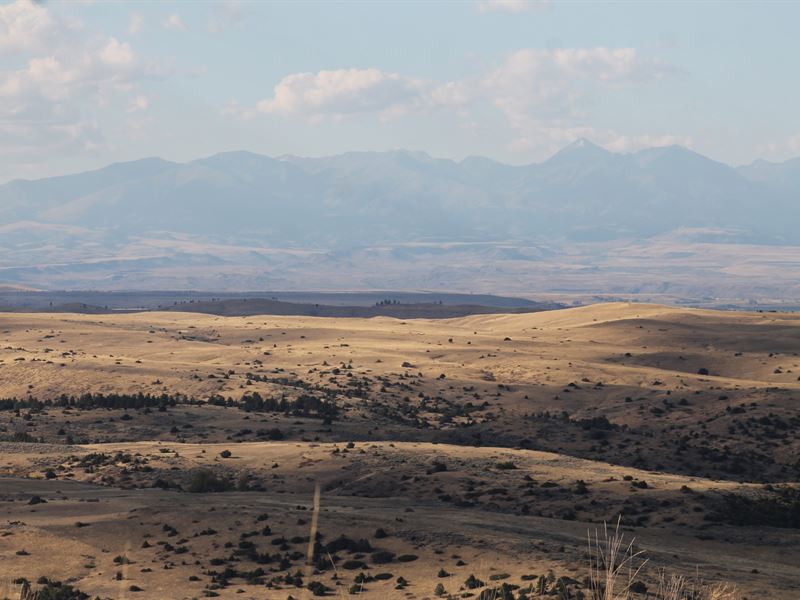 Hump Creek 56 : Reed Point : Sweet Grass County : Montana