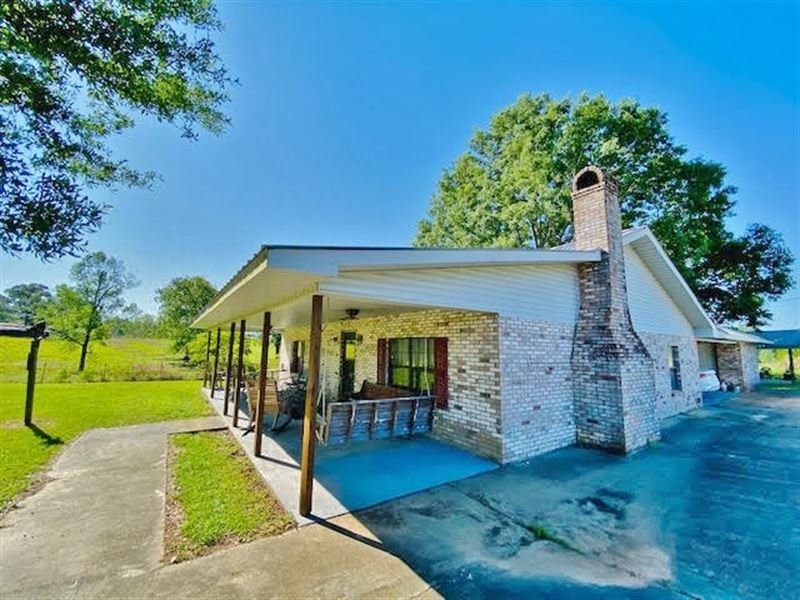 Home and 10 Acres / Mt. Hermon / LA : Mount Hermon : Washington Parish : Louisiana