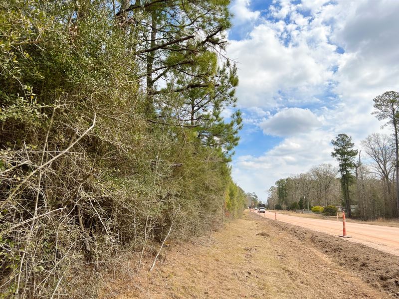 22 Acres, T-6 FM 1746 : Spurger : Tyler County : Texas