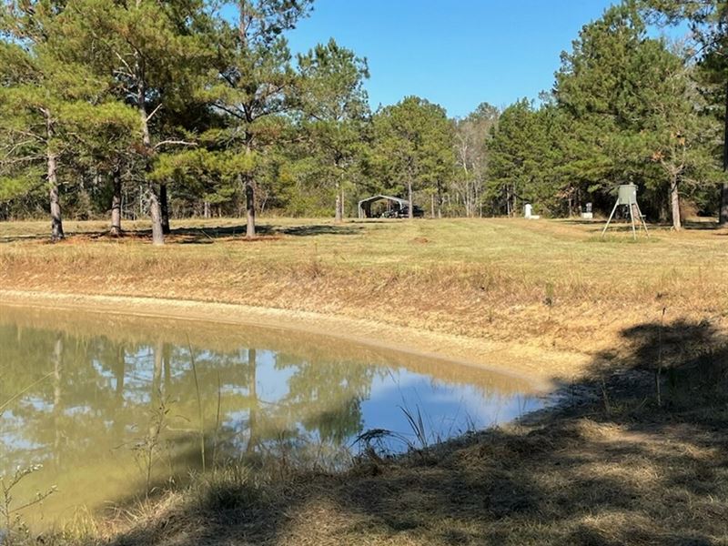 Great Hunting & Timber Tract : Arlington : Calhoun County : Georgia