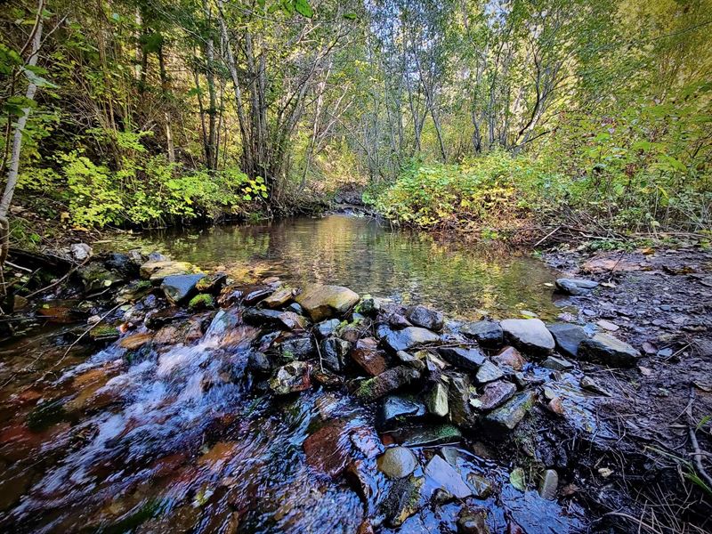 West Mountain Creek Tract : Superior : Mineral County : Montana