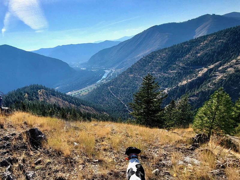 Bestwick Creek Tract : Superior : Mineral County : Montana