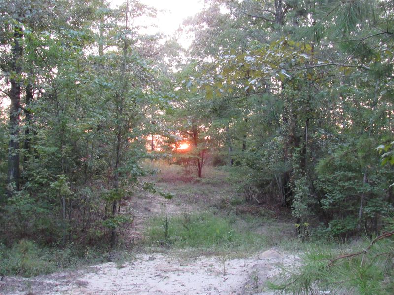 Gordy Mill Pond : Cusseta : Chattahoochee County : Georgia