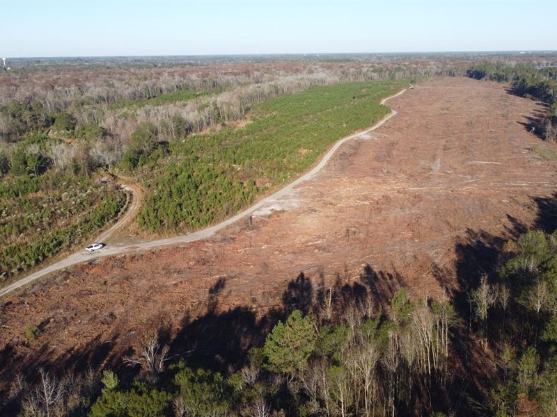 Lumber River Tract : Lumberton : Robeson County : North Carolina