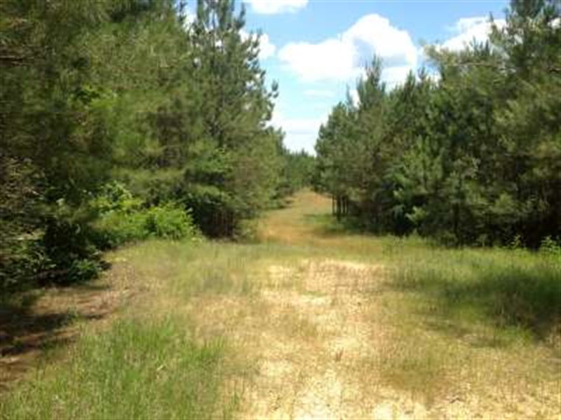 King Creek : Hazelhurst : Copiah County : Mississippi