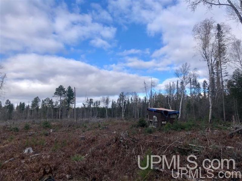 Private 80 Acres : Humboldt : Marquette County : Michigan