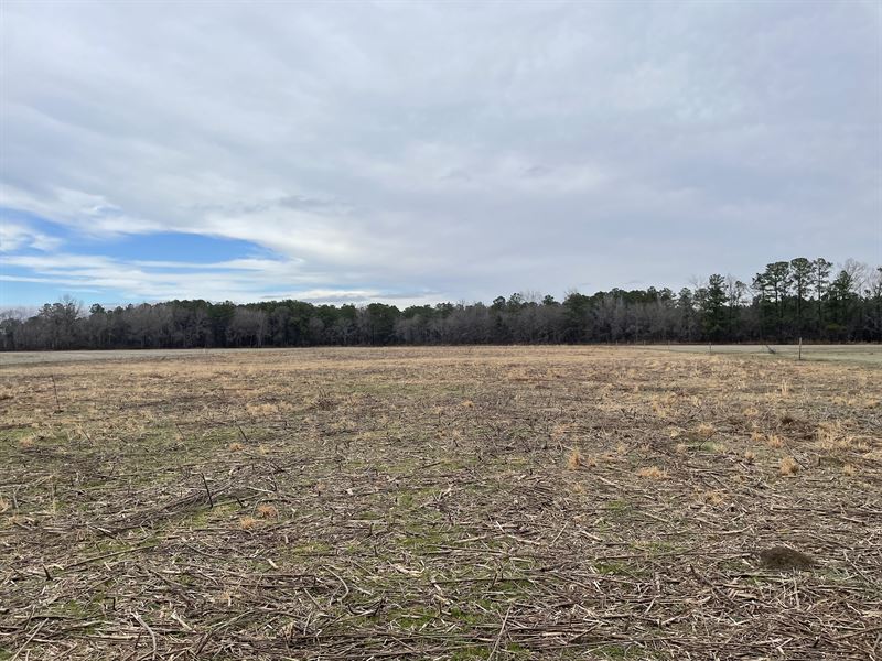 Farmland for Sale in Washington, NC : Washington : Beaufort County : North Carolina