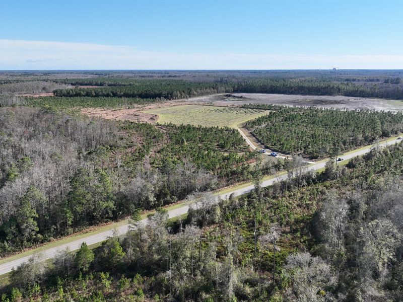 40.76 Acres Near Valdosta : Valdosta : Lowndes County : Georgia