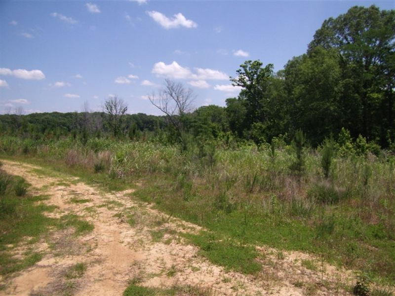 Moon Ranch : Hermanville : Claiborne County : Mississippi