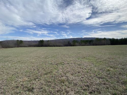 Alabama Cattle Ranches for Sale : Page 3 of 3 : RANCHFLIP