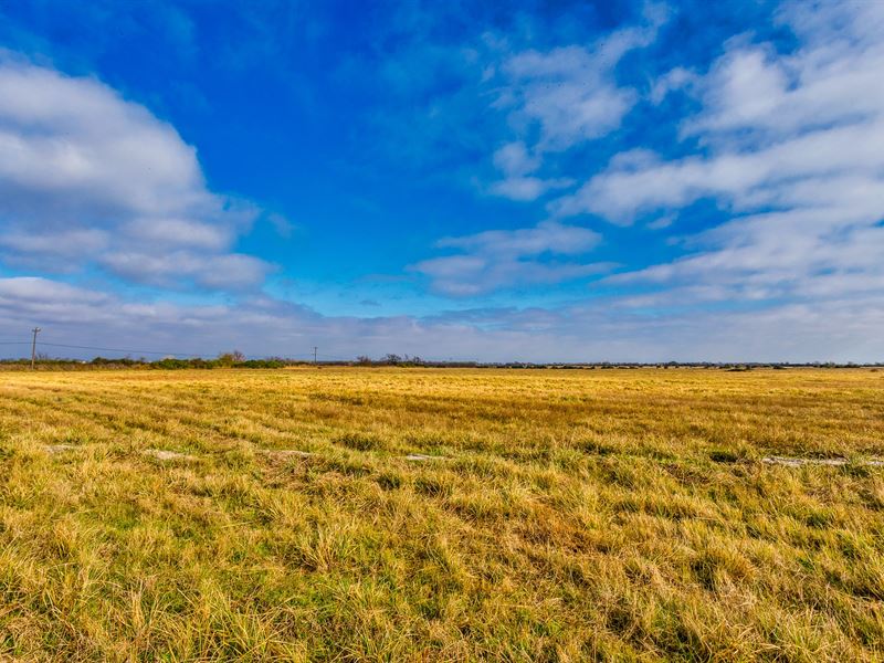 Owner Financed Land Near Houston : Eagle Lake : Colorado County : Texas