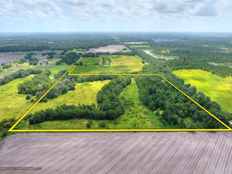 Old Hopewell Road 45 Acres : Plant City : Hillsborough County : Florida