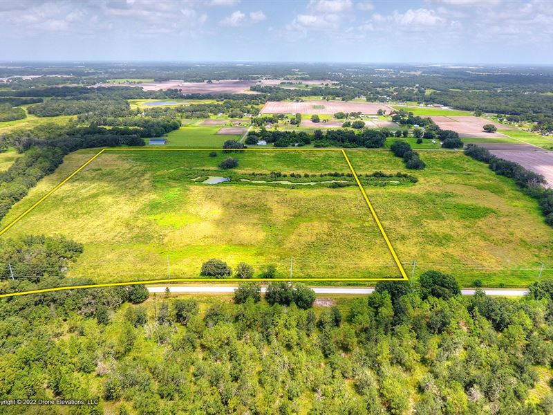 Holloman Road 32 Acres : Plant City : Hillsborough County : Florida