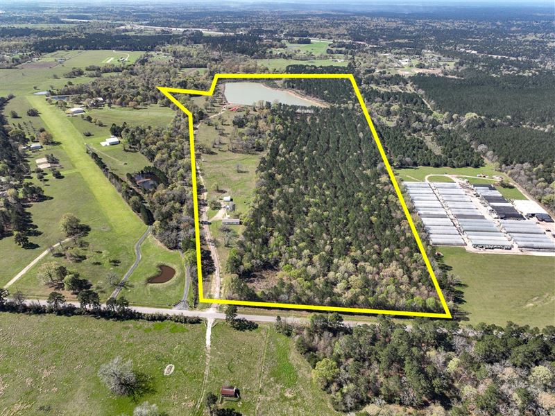 117 Acres, 65 Vick Springs Road : New Waverly : Walker County : Texas