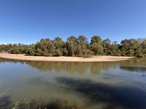 Oconee River, Buckhorn Tract : Toomsboro : Wilkinson County : Georgia