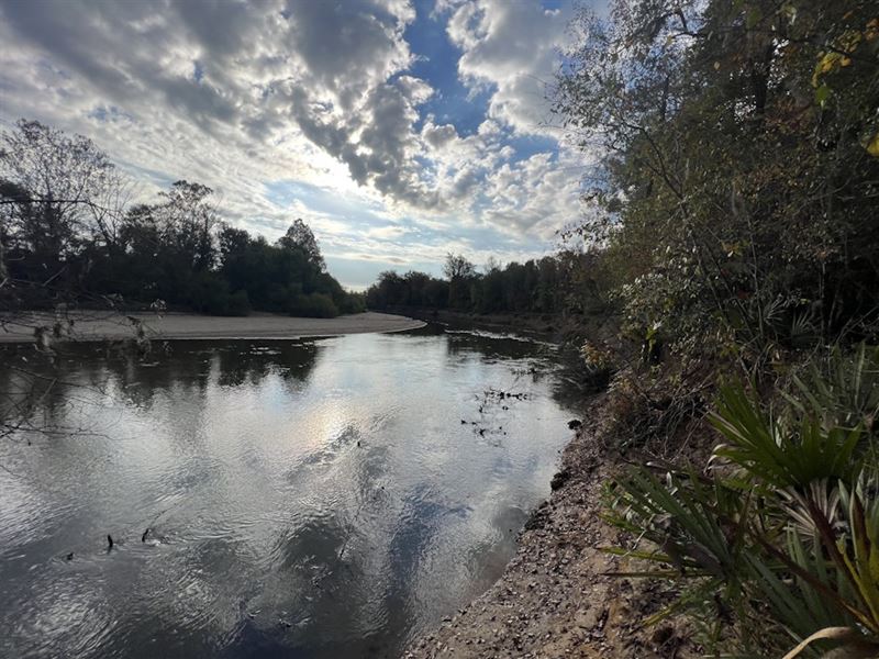 Oconee River, Buckhorn Tract : Toomsboro : Wilkinson County : Georgia